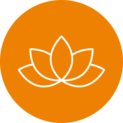 Modulo Wellness